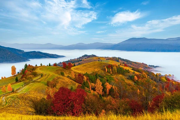 High Hill Lush Colorful Trees Dry Yellow Grass Deep Gorge — Stock Photo, Image