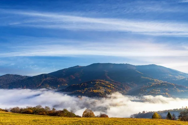 秋の晴れた朝には青い空の下 濃い霧に囲まれた巨大な森林の山々と芝生の丘のある高原 — ストック写真