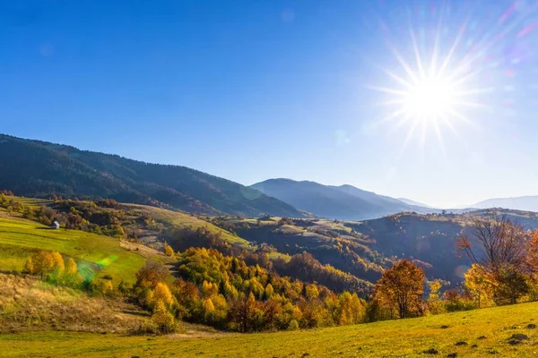 Highland Giant Forestry Mountains Grassy Hills Surrounded Heavy Fog Blue — Stock Photo, Image