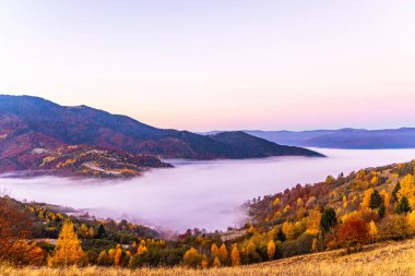 Sonbaharda pembe mavi gökyüzünün altında yoğun sisle kaplı derin vadiye karşı gür renkli ağaçları ve kuru sarı otları olan yüksek tepe.