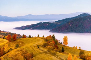 Sonbaharda pembe mavi gökyüzünün altında yoğun sisle kaplı derin vadiye karşı gür renkli ağaçları ve kuru sarı otları olan yüksek tepe.