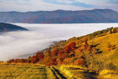Tepe yamaçları ve renkli ağaçlarla çevrili dev orman dağları bulutlu gökyüzünün altında parlak bir sonbahar sabahı.