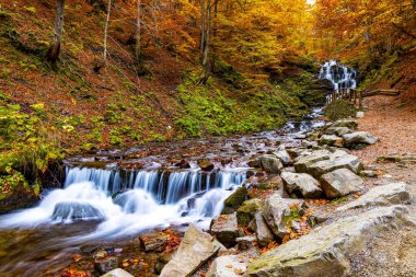 Karpat Dağları 'nın sonbahar ormanlarında güzel şelale gemisi