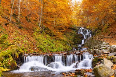 Sonbahar yaprakları ve kayalarla kaplı dağ nehri Karpat Dağları 'nın sonbahar ormanlarında yosunlarla kaplandı.