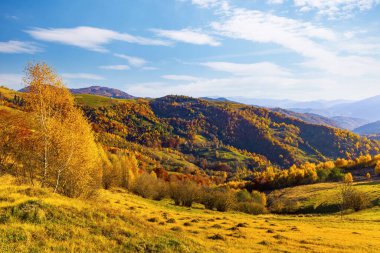 Sonbaharın güneşli sabahında mavi gökyüzünün altında devasa orman dağları ve çimenli tepelerle çevrili yüksek bir yer.