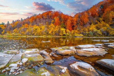 Dağ nehri vahşi taş kıyısı. Sonbaharda mavi gökyüzünün altında yüzen bulutlarla birlikte tepede yetişen renkli ağaçlara karşı akıntılar var.