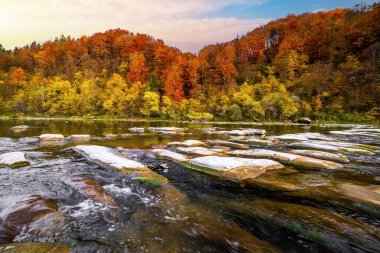 Dağ nehri vahşi taş kıyısı. Sonbaharda mavi gökyüzünün altında yüzen bulutlarla birlikte tepede yetişen renkli ağaçlara karşı akıntılar var.