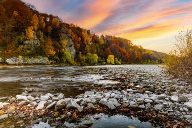 Dağ nehri vahşi taş kıyısı. Sonbaharda mavi gökyüzünün altında yüzen bulutlarla birlikte tepede yetişen renkli ağaçlara karşı akıntılar var.