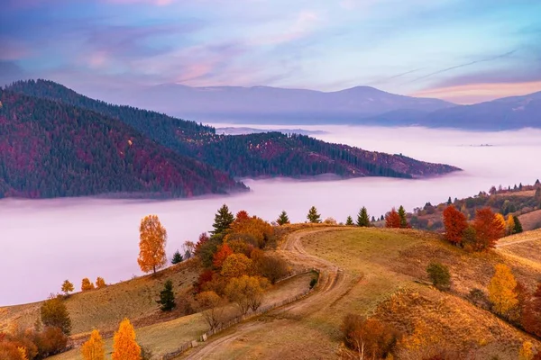Sonbaharda pembe mavi gökyüzünün altında yoğun sisle kaplı derin vadiye karşı gür renkli ağaçları ve kuru sarı otları olan yüksek tepe.