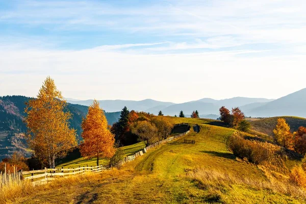 Ground Grassy Road Runs Wooden Fence Ridge Terracotta Trees Highland — Stock Photo, Image