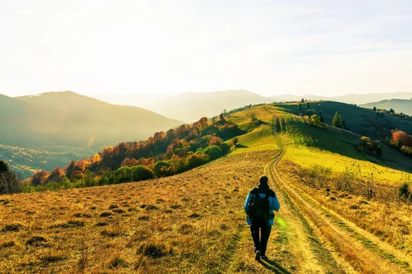 Fotograf Stă Șosea Iarbă Sol Făcând Fotografie Peisajului Toamnă Copaci — Fotografie, imagine de stoc