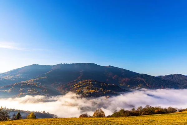 Tierras Altas Con Montañas Forestales Gigantes Colinas Cubiertas Hierba Rodeadas —  Fotos de Stock