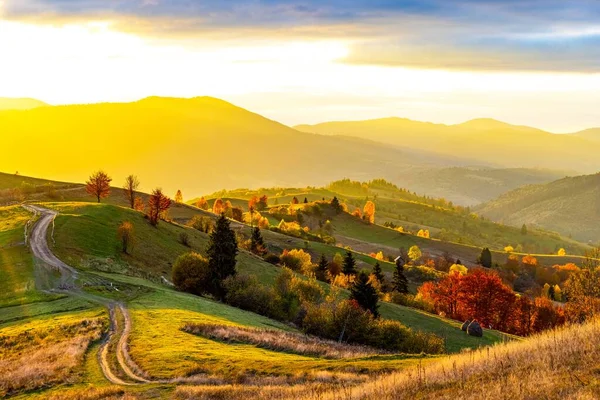 Ground Grassy Road Runs Wooden Fence Yellowed Birch Trees Slope — Stock Photo, Image