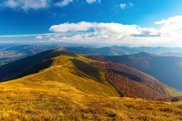 Kuru sarı çimenleri ve taşları olan kayalık yol, güneşli sonbahar günbatımında yoğun sisle çevrili dağlık yamaçta uzanır.