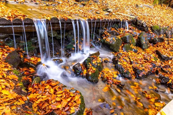 Rio Montanha Com Folhas Outono Pedras Cobertas Musgo Floresta Outono — Fotografia de Stock