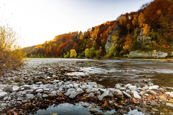 Flache Stromschnellen Des Gebirgsflusses Mit Immergrünen Herbst Terrakottawäldern Steilen Ufern — Stockfoto