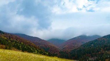Dağlık arazi, orman tepeleri ve ağır bulutların altında çayır.