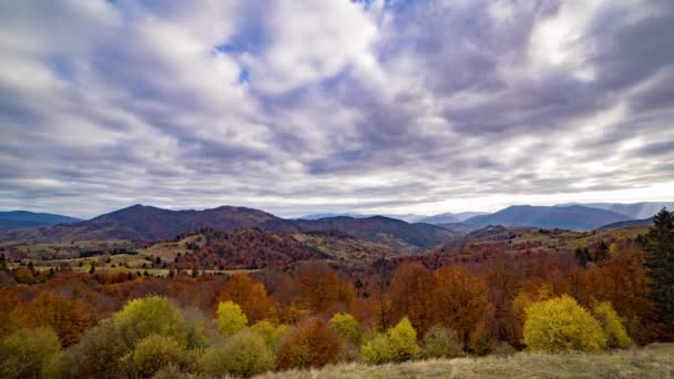 Arbres d'automne colorés poussent dans les hautes terres contre les grandes montagnes — Video