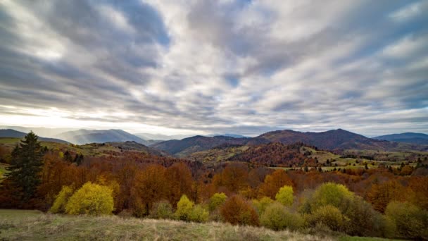 Coloridos árboles de otoño crecen en las tierras altas contra grandes montañas — Vídeos de Stock