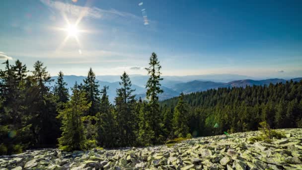 Foresta con conifere su montagna di pietra in altopiano in autunno — Video Stock