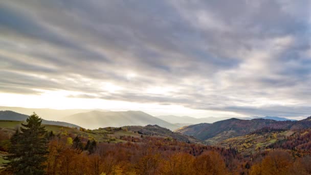 Coloridos árboles de otoño crecen en las tierras altas contra grandes montañas — Vídeos de Stock