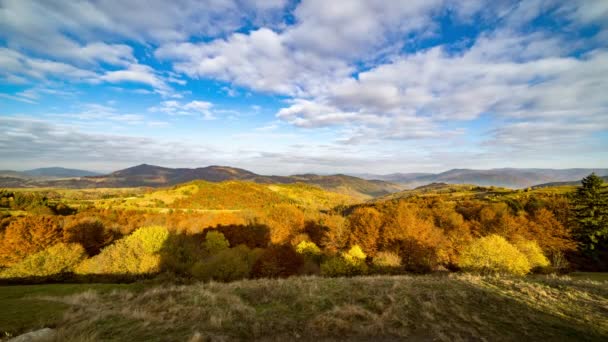 曇り空の下、高原の斜面を覆う緑豊かな紅葉 — ストック動画