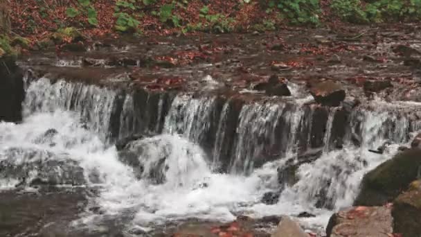 Prachtige Waterval Shipot in het herfstbos — Stockvideo
