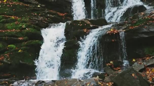 Водопад падает с горного склона в осеннем лесу — стоковое видео