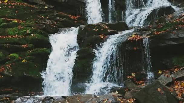 Vattenfall faller nerför bergssluttningen i höstskogen — Stockvideo