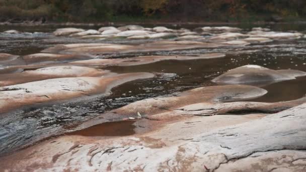 Suwak pan slow motion video, rzeka pędzi z jesiennymi lasami na brzegach — Wideo stockowe