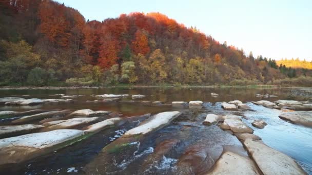 Slider pan slow motion video, sungai jeram dengan hutan musim gugur di bank — Stok Video
