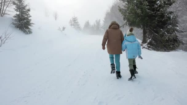 Duas meninas caminhando por bosques nevados. — Vídeo de Stock