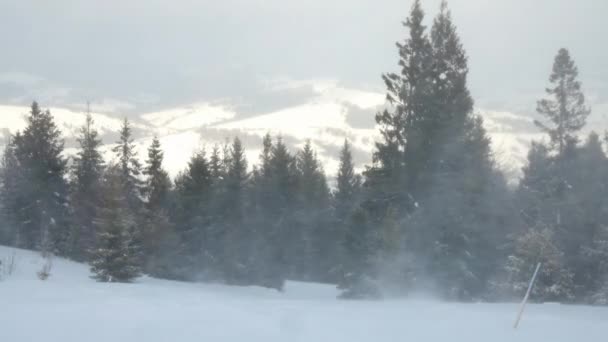Misty mountaine landschap voor twillight. — Stockvideo