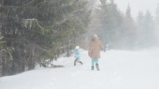 Δύο κορίτσια περπατούν μέσα σε χιονισμένα δάση. — Αρχείο Βίντεο
