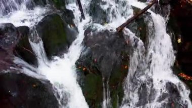 Sonbahar ormanlarında dağ yamacından süzülen dar dere.