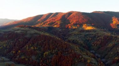 Sonbahar ormanlarında gündoğumunda ağaçlı dağlık araziler