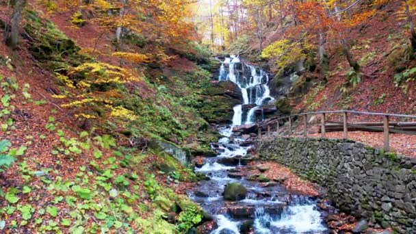 Arroyo estrecho que cae por la pendiente de la montaña en el bosque de otoño — Vídeos de Stock