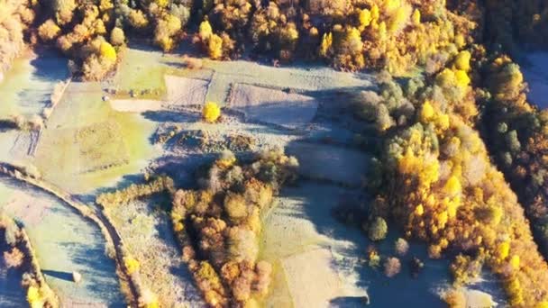 Montaña con bosques de terracota bajo el cielo nublado — Vídeos de Stock