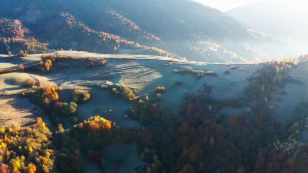 高山峻岭，日出时分长满了落叶松 — 图库视频影像