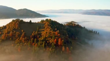 Dağları renkli ağaçlarla kaplayan kalın sis tabakası