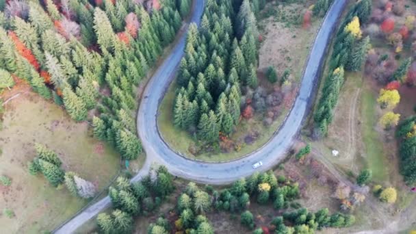 Auto 's rijden langs de snelweg in de verte van de Karpaten in een dennenbos in Oekraïne — Stockvideo