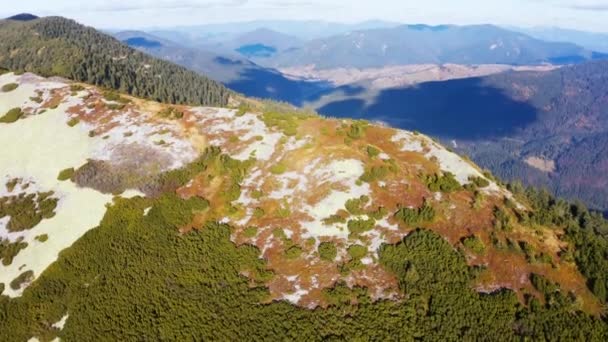 Forêt à feuilles persistantes au sommet d'une haute montagne de pierre sous le ciel bleu — Video