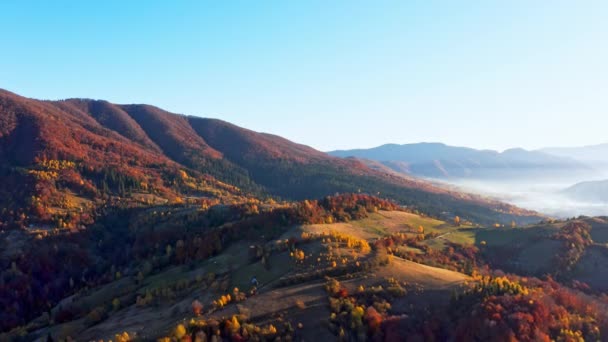 Terras altas da montanha com árvores na floresta de outono ao nascer do sol — Vídeo de Stock