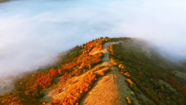 Montañas con árboles coloridos cubiertos con capa de niebla — Vídeo de stock
