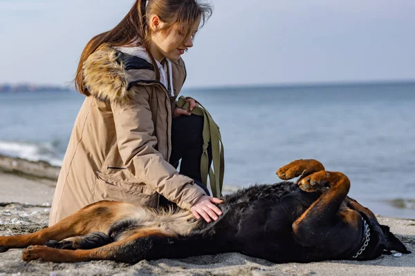 A girl in a jacket sits near a dog of the Rottweiler breed and smells it on the beach near the sea