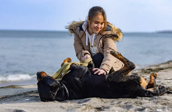 Una chica con chaqueta se sienta cerca de un perro de la raza Rottweiler y lo huele en la playa cerca del mar —  Fotos de Stock