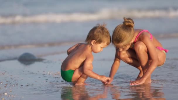 Irmã mais velha brincando com irmão mais novo encalhar perto da costa em férias de verão — Vídeo de Stock