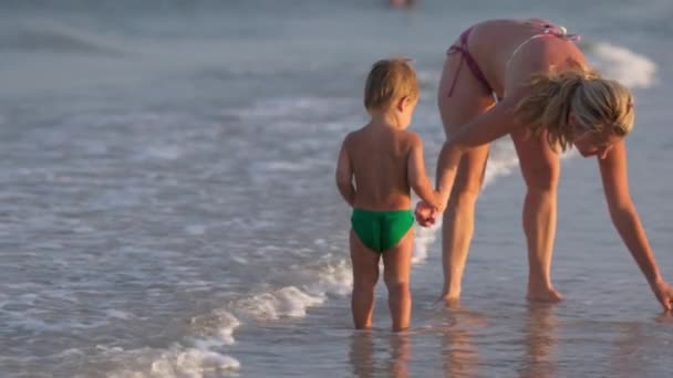 Mamá camina por la playa del mar con su hijo recogiendo conchas bajo el sol de verano — Vídeo de stock