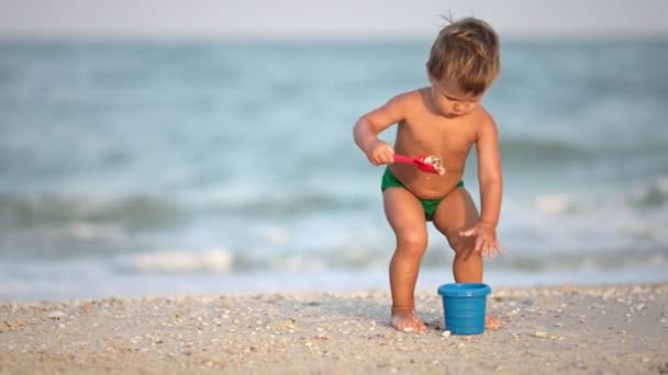 Το παιδί συλλέγει κοχύλια και βότσαλα στη θάλασσα σε αμμώδη βυθό κάτω από τον καλοκαιρινό ήλιο σε διακοπές — Αρχείο Βίντεο