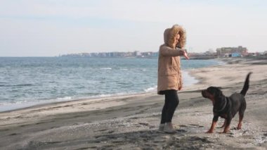 Ceketli hostes köpeğini eğitiyor Rottweiler cinsi deniz kenarında kumlu bir sahilde.